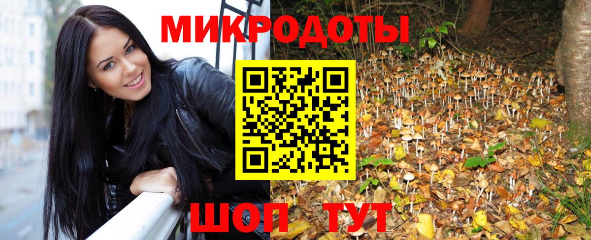 Строитель  Псилоцибиновые грибы GOLDEN TEACHER  Псилоцибиновые грибы Psilocybine cubensis  Вход с VPN 